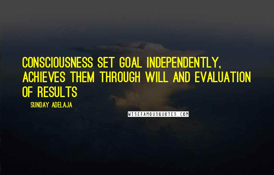 Sunday Adelaja Quotes: Consciousness set goal independently, achieves them through will and evaluation of results