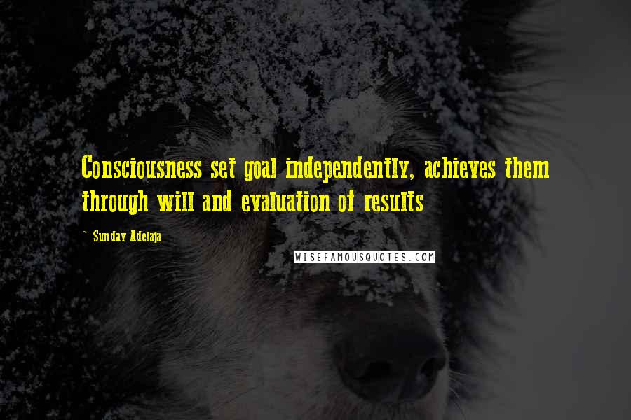 Sunday Adelaja Quotes: Consciousness set goal independently, achieves them through will and evaluation of results
