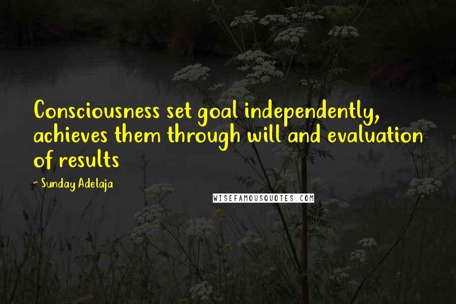 Sunday Adelaja Quotes: Consciousness set goal independently, achieves them through will and evaluation of results