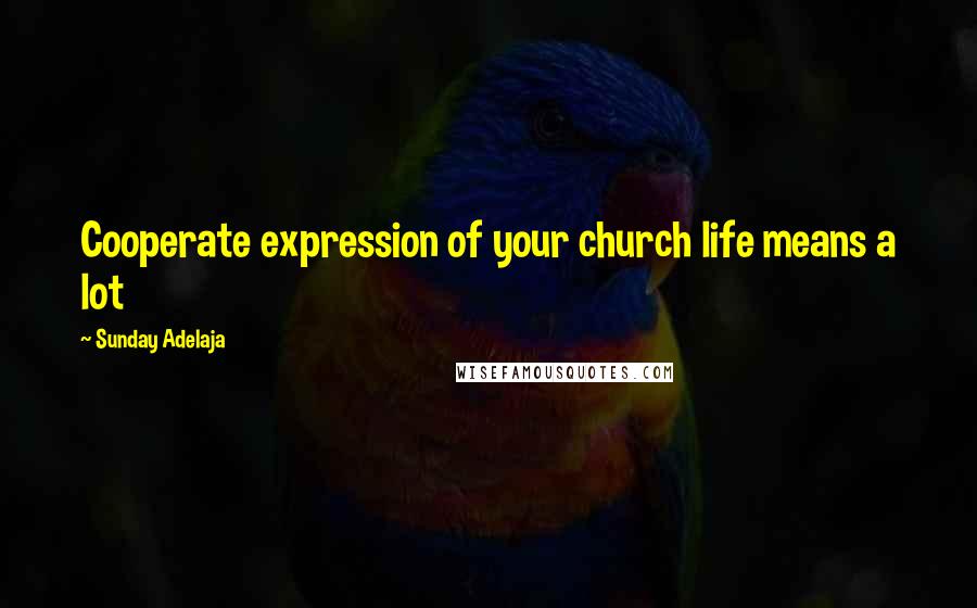 Sunday Adelaja Quotes: Cooperate expression of your church life means a lot