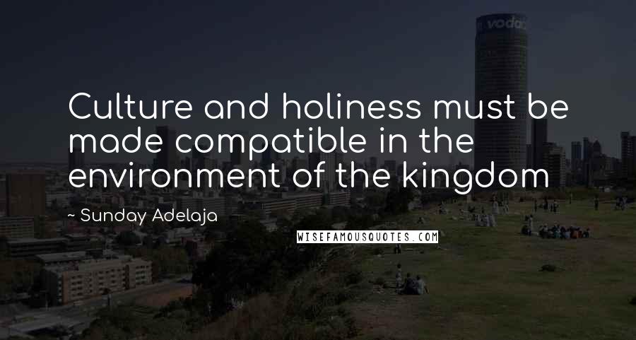 Sunday Adelaja Quotes: Culture and holiness must be made compatible in the environment of the kingdom