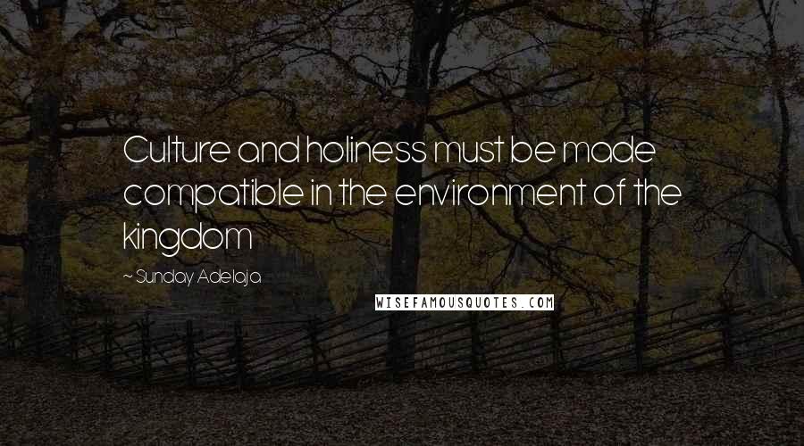 Sunday Adelaja Quotes: Culture and holiness must be made compatible in the environment of the kingdom