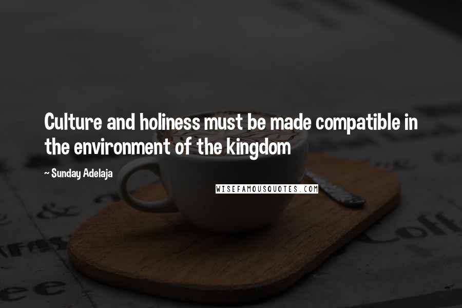 Sunday Adelaja Quotes: Culture and holiness must be made compatible in the environment of the kingdom