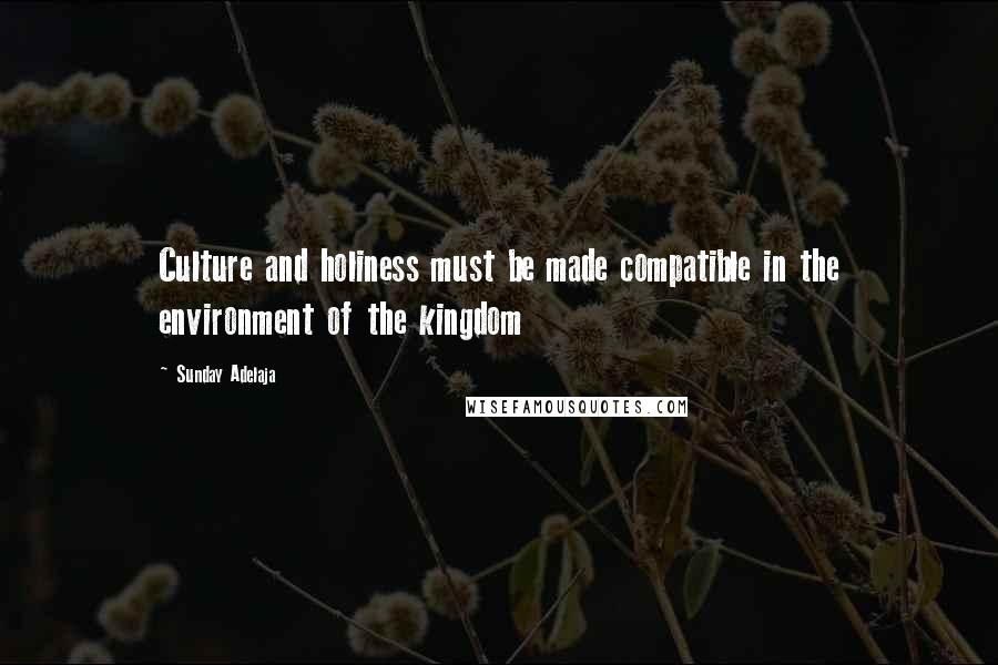 Sunday Adelaja Quotes: Culture and holiness must be made compatible in the environment of the kingdom