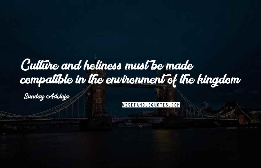 Sunday Adelaja Quotes: Culture and holiness must be made compatible in the environment of the kingdom