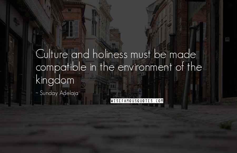 Sunday Adelaja Quotes: Culture and holiness must be made compatible in the environment of the kingdom