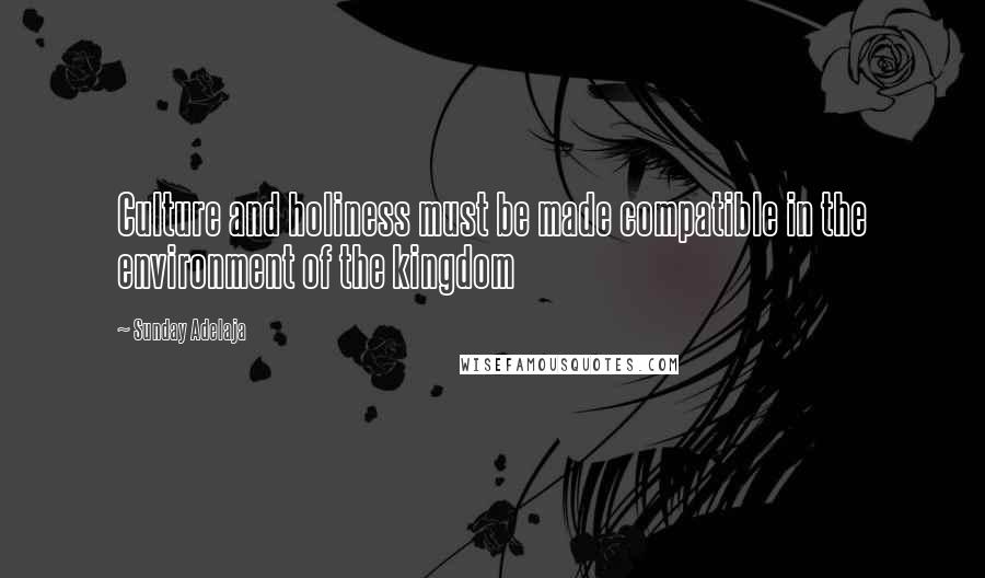 Sunday Adelaja Quotes: Culture and holiness must be made compatible in the environment of the kingdom