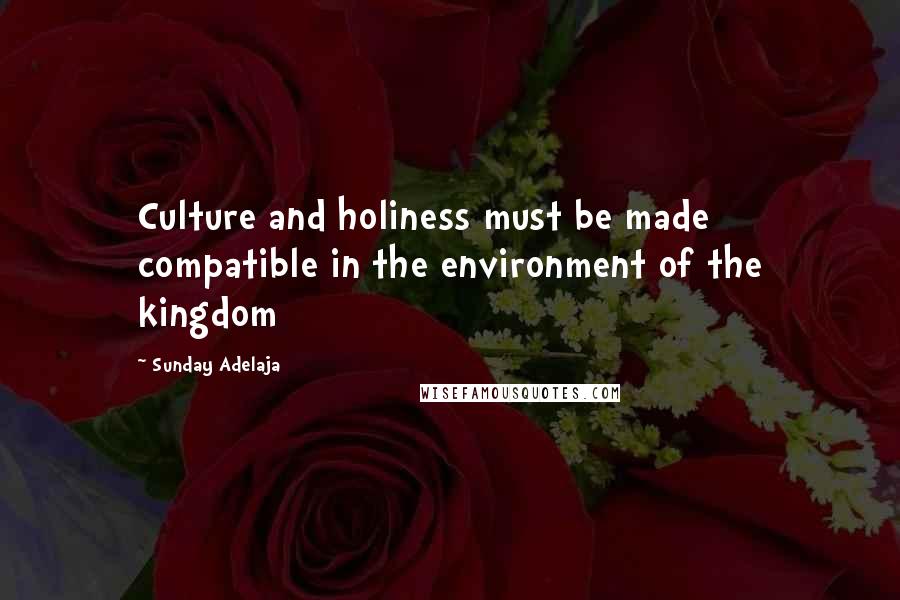 Sunday Adelaja Quotes: Culture and holiness must be made compatible in the environment of the kingdom
