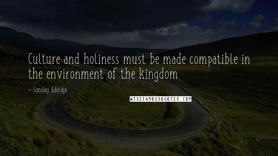 Sunday Adelaja Quotes: Culture and holiness must be made compatible in the environment of the kingdom