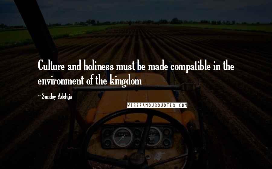 Sunday Adelaja Quotes: Culture and holiness must be made compatible in the environment of the kingdom