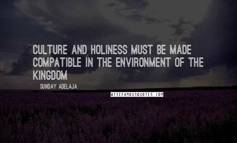 Sunday Adelaja Quotes: Culture and holiness must be made compatible in the environment of the kingdom