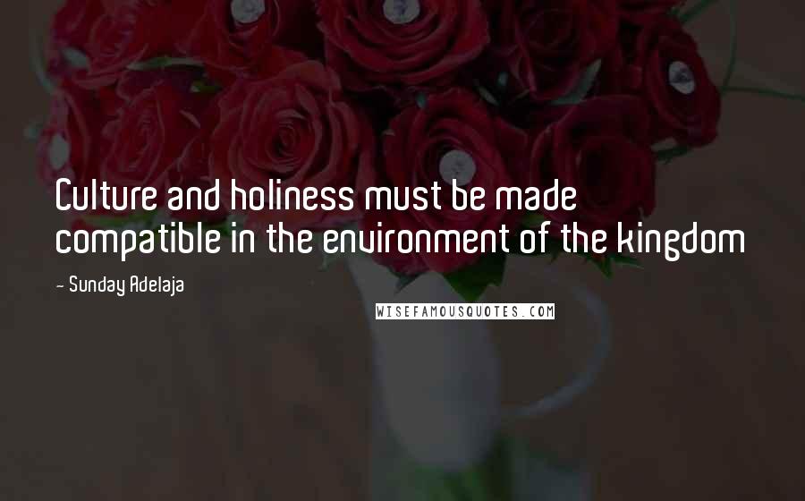 Sunday Adelaja Quotes: Culture and holiness must be made compatible in the environment of the kingdom
