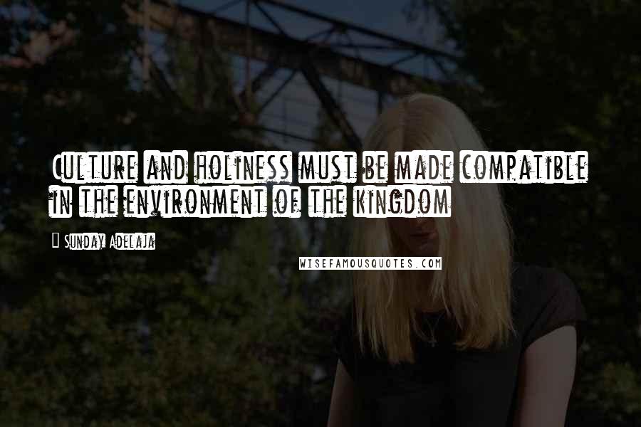 Sunday Adelaja Quotes: Culture and holiness must be made compatible in the environment of the kingdom