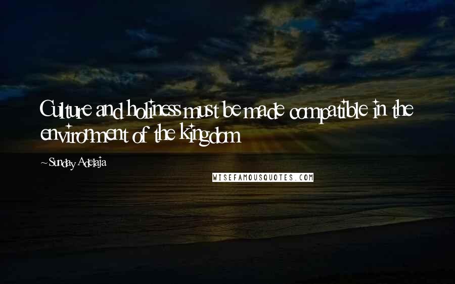 Sunday Adelaja Quotes: Culture and holiness must be made compatible in the environment of the kingdom