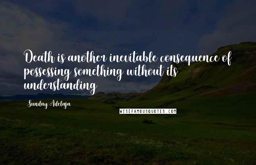 Sunday Adelaja Quotes: Death is another inevitable consequence of possessing something without its understanding