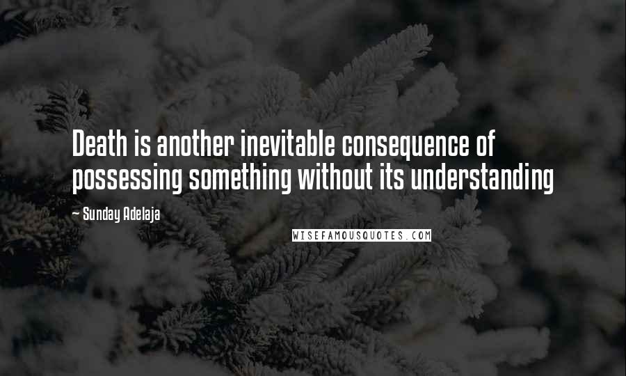 Sunday Adelaja Quotes: Death is another inevitable consequence of possessing something without its understanding