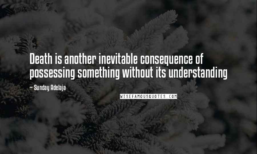 Sunday Adelaja Quotes: Death is another inevitable consequence of possessing something without its understanding