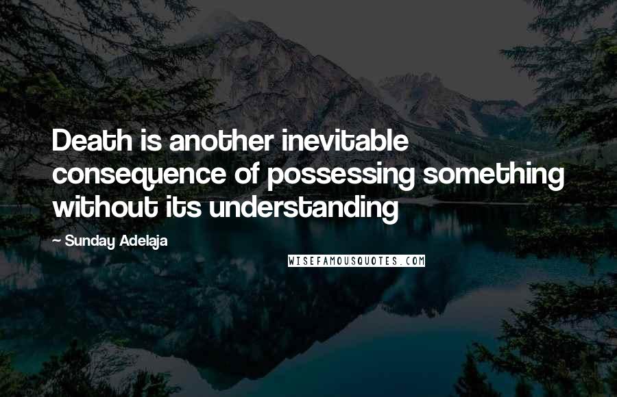 Sunday Adelaja Quotes: Death is another inevitable consequence of possessing something without its understanding