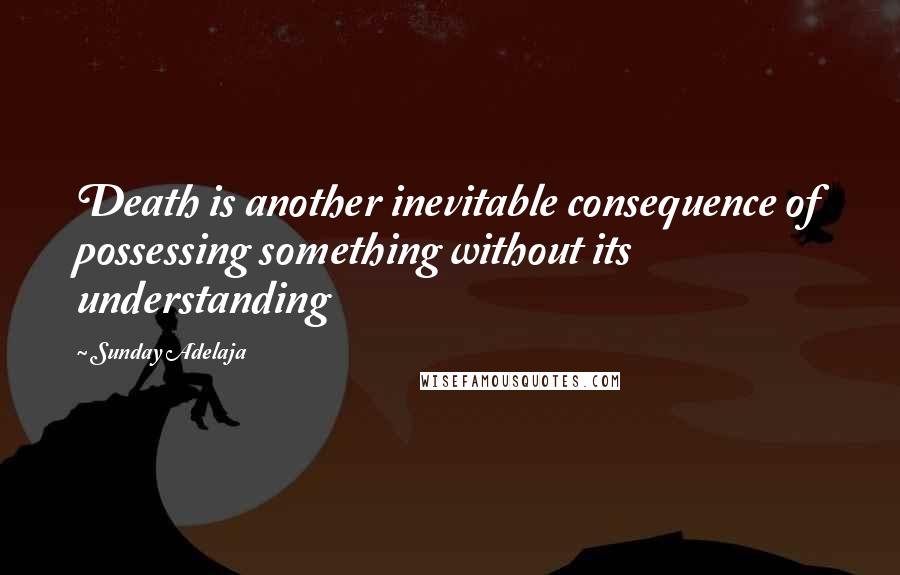 Sunday Adelaja Quotes: Death is another inevitable consequence of possessing something without its understanding