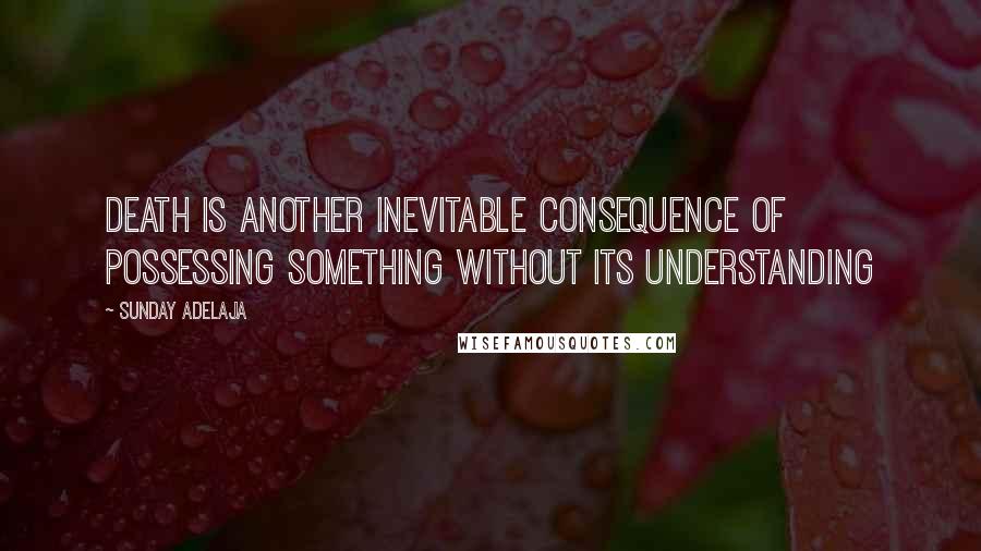 Sunday Adelaja Quotes: Death is another inevitable consequence of possessing something without its understanding