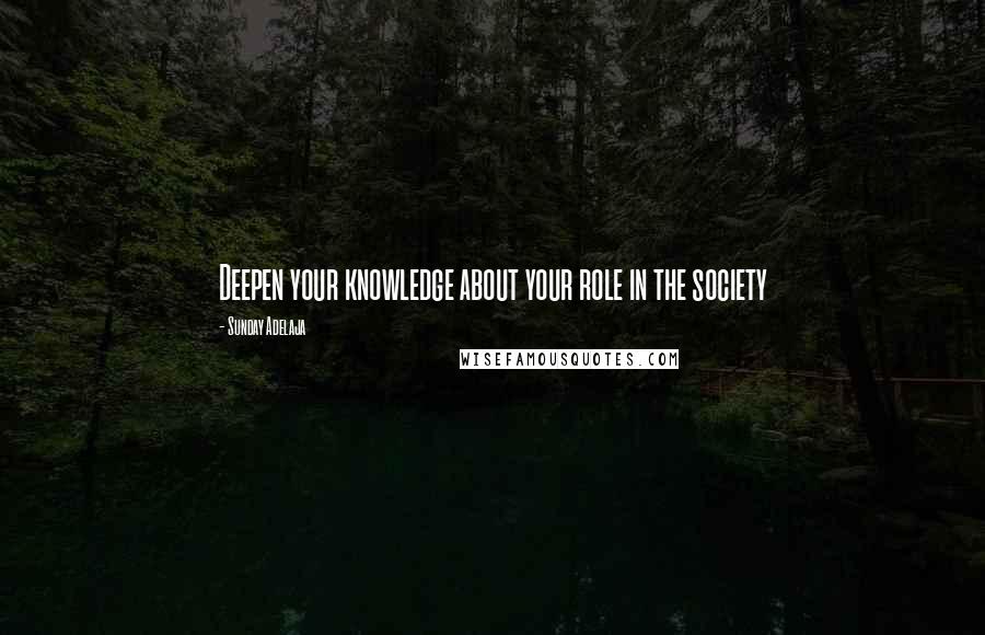 Sunday Adelaja Quotes: Deepen your knowledge about your role in the society