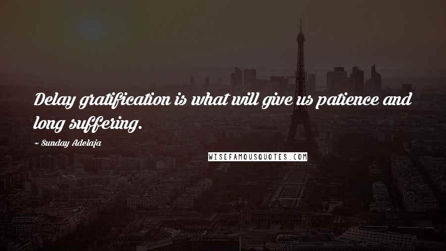 Sunday Adelaja Quotes: Delay gratification is what will give us patience and long suffering.