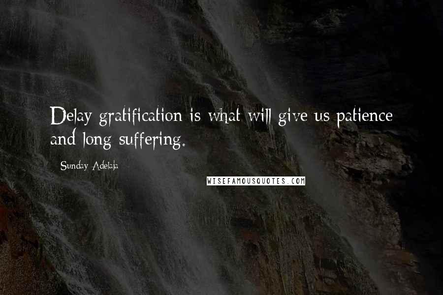 Sunday Adelaja Quotes: Delay gratification is what will give us patience and long suffering.