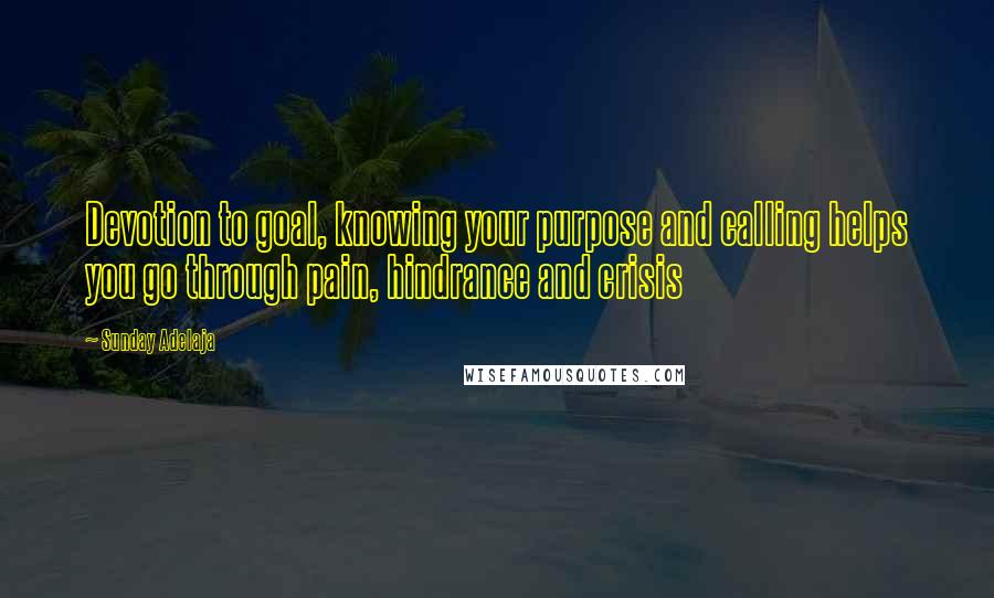 Sunday Adelaja Quotes: Devotion to goal, knowing your purpose and calling helps you go through pain, hindrance and crisis