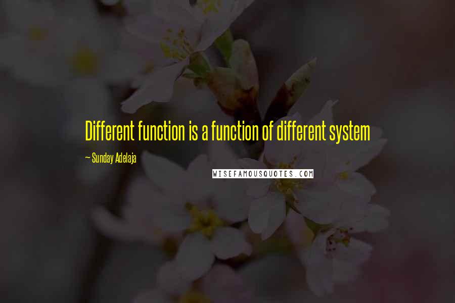 Sunday Adelaja Quotes: Different function is a function of different system