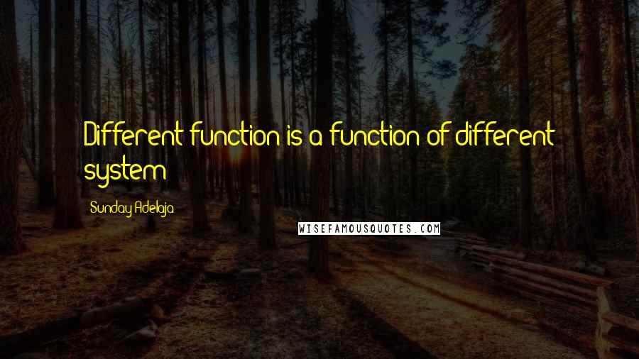 Sunday Adelaja Quotes: Different function is a function of different system