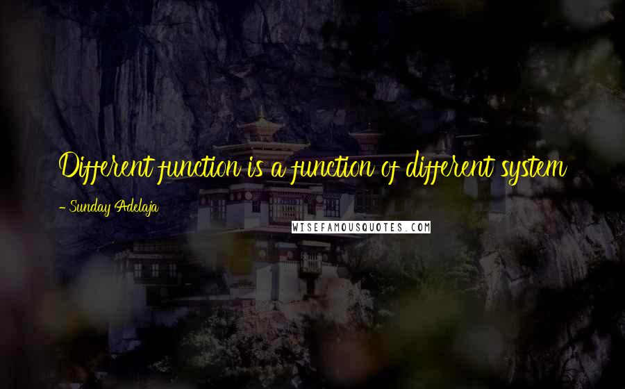 Sunday Adelaja Quotes: Different function is a function of different system