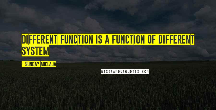 Sunday Adelaja Quotes: Different function is a function of different system