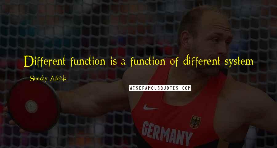 Sunday Adelaja Quotes: Different function is a function of different system