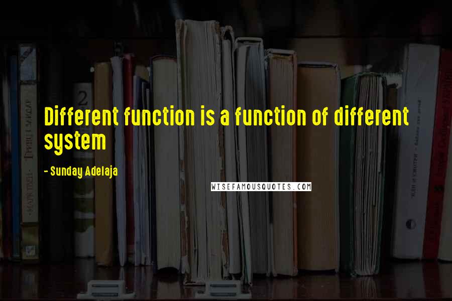 Sunday Adelaja Quotes: Different function is a function of different system