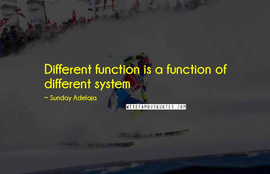 Sunday Adelaja Quotes: Different function is a function of different system