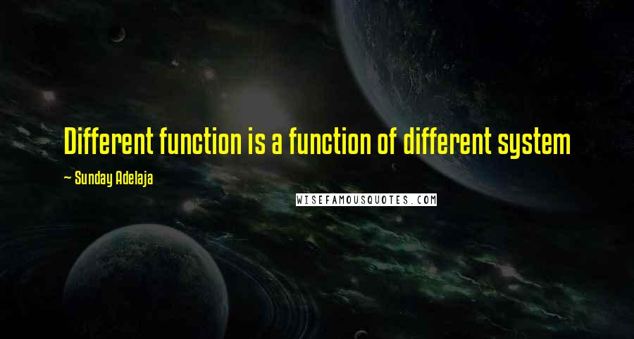 Sunday Adelaja Quotes: Different function is a function of different system