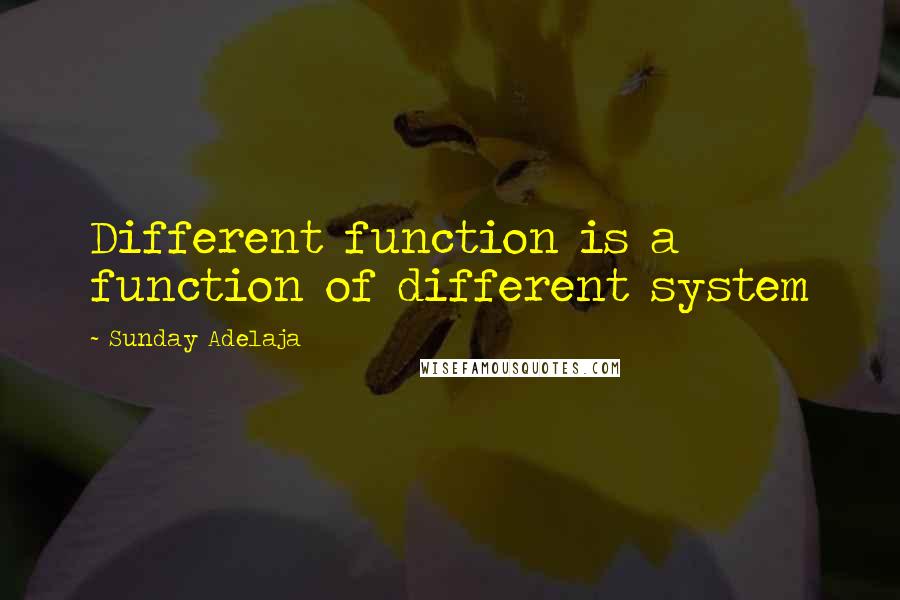 Sunday Adelaja Quotes: Different function is a function of different system