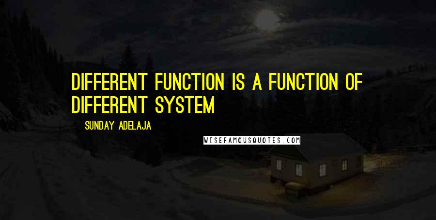 Sunday Adelaja Quotes: Different function is a function of different system