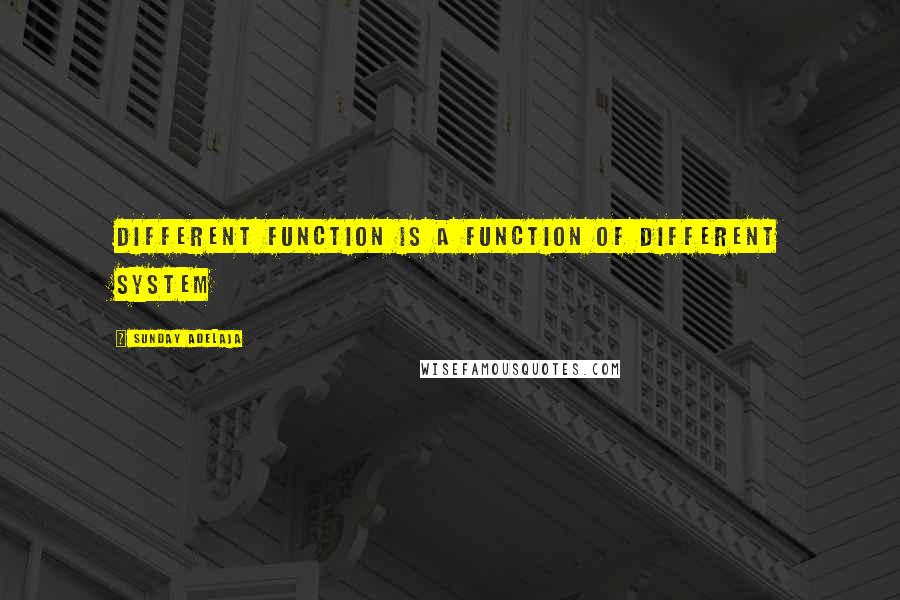 Sunday Adelaja Quotes: Different function is a function of different system