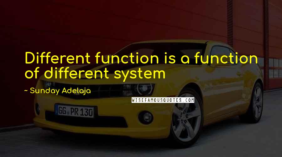 Sunday Adelaja Quotes: Different function is a function of different system