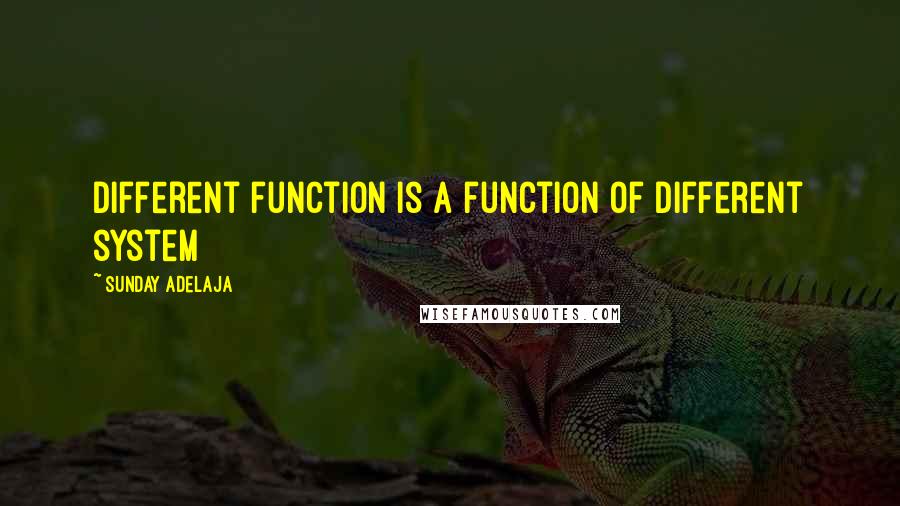 Sunday Adelaja Quotes: Different function is a function of different system