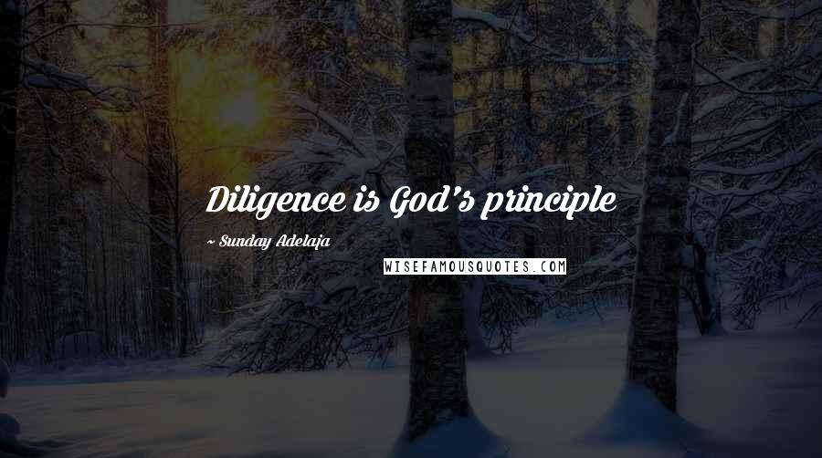 Sunday Adelaja Quotes: Diligence is God's principle