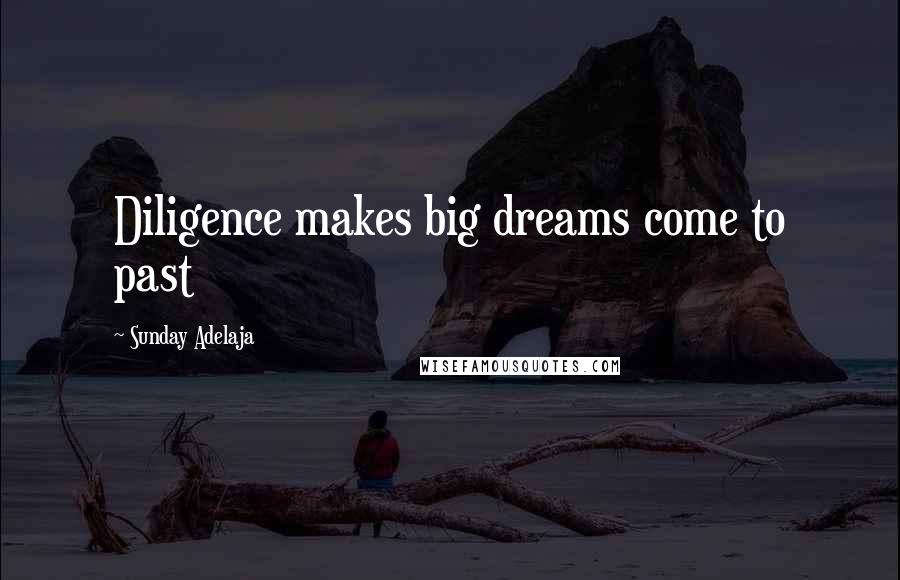 Sunday Adelaja Quotes: Diligence makes big dreams come to past