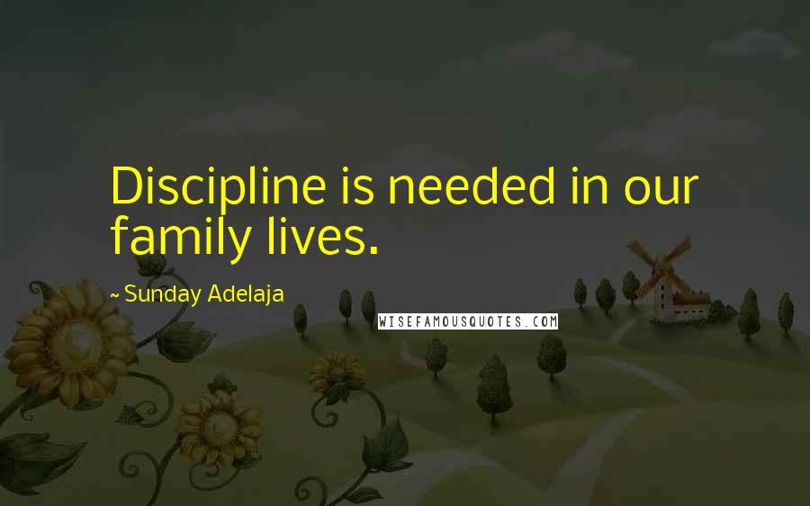 Sunday Adelaja Quotes: Discipline is needed in our family lives.