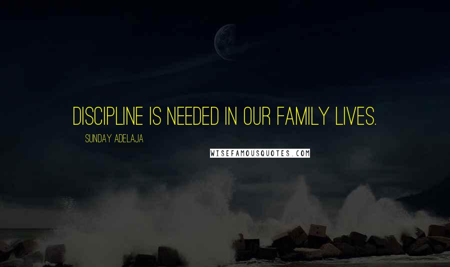 Sunday Adelaja Quotes: Discipline is needed in our family lives.