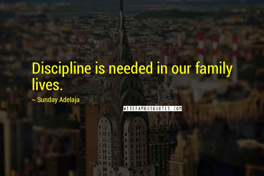 Sunday Adelaja Quotes: Discipline is needed in our family lives.