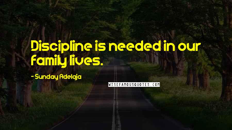 Sunday Adelaja Quotes: Discipline is needed in our family lives.