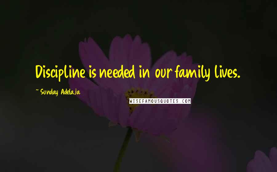 Sunday Adelaja Quotes: Discipline is needed in our family lives.