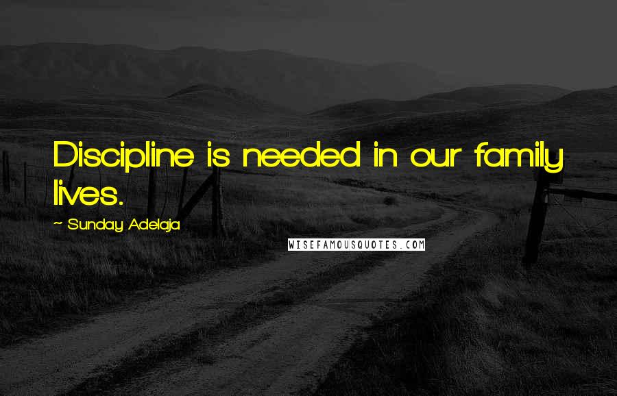 Sunday Adelaja Quotes: Discipline is needed in our family lives.