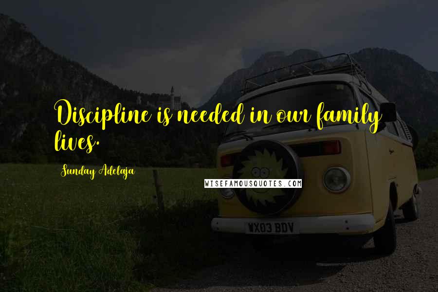 Sunday Adelaja Quotes: Discipline is needed in our family lives.